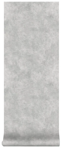 Superfresco Easy Vliesbehang Beton Cire Middengrijs (dessin 106989) -Superfresco Easy 41 1017