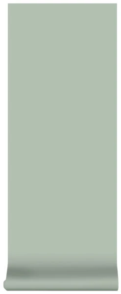 Superfresco Easy Vliesbehang Uni Groen (dessin 2258-50) -Superfresco Easy 41 1200