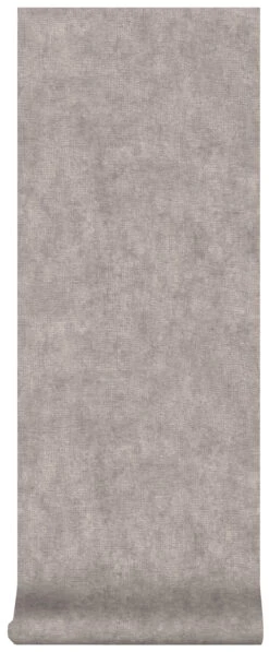 Superfresco Easy Vliesbehang Beton Taupe (dessin 103481) -Superfresco Easy 41 1254