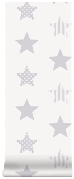Superfresco Easy Vliesbehang Superster Zilver (dessin 100111) -Superfresco Easy 41 1367