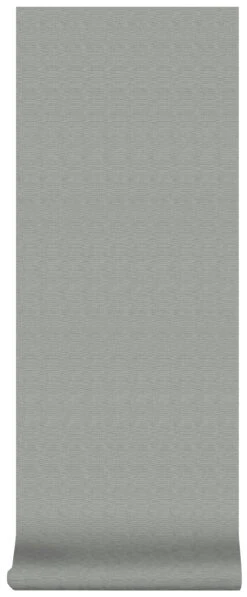 Superfresco Easy Vliesbehang Lynn Donker Grijs (dessin 33-235) -Superfresco Easy 41 1379