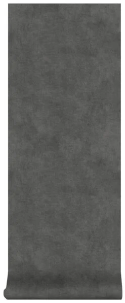 Superfresco Easy Vliesbehang Beton Cire Donkergrijs (dessin 106992) -Superfresco Easy 41 513